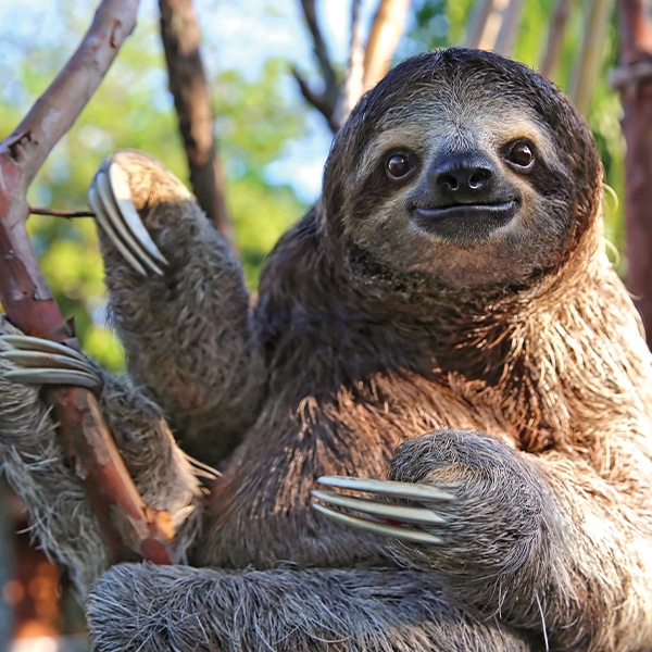 Confidence25_Produktgruppen_Prot